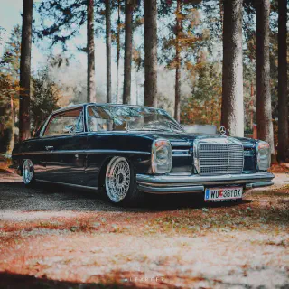 /img/45139-mercedes-w114-collection.webp